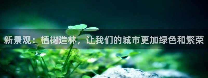 新宝gg怎么样