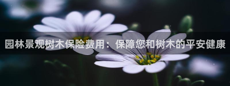 新宝gg平台下载安装