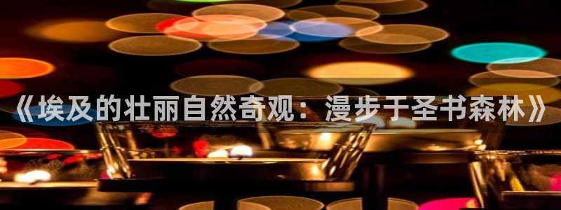 怎么下载新宝gg