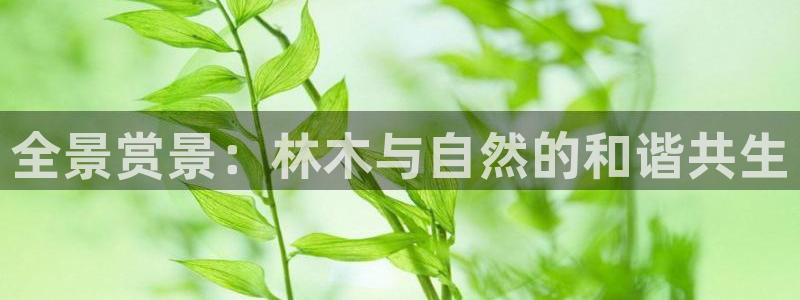 新宝gg技术
