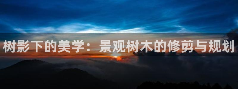 新宝gg维护