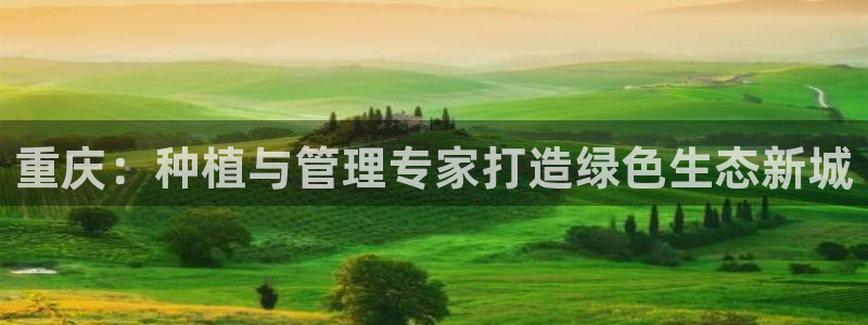 创造奇迹新宝gg