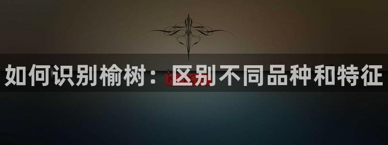 新宝gg登陆平台