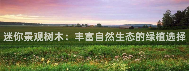 新宝gg开户流程