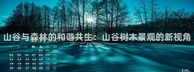 新宝gg创造奇迹下载