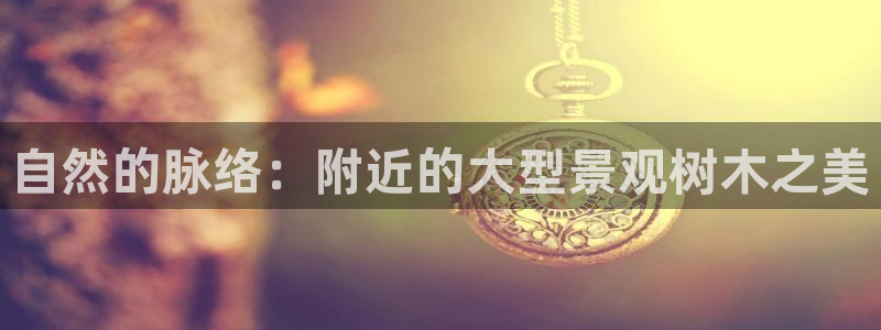 新宝gg平台首页