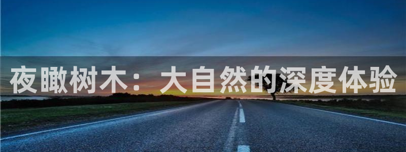 新宝gg 039：夜瞰树木：大自然的深度体验