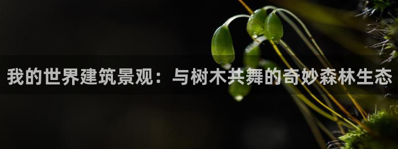新宝GG53339咨询新宝GG：我的世界建筑景观：与树木共舞的奇妙森林生态