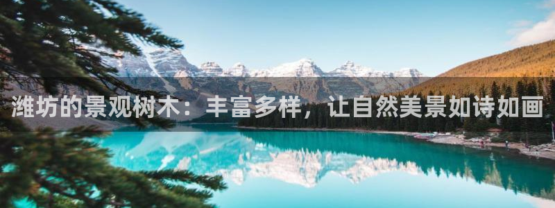 新宝gg--创：潍坊的景观树木：丰富多样，让自然美景如诗如画