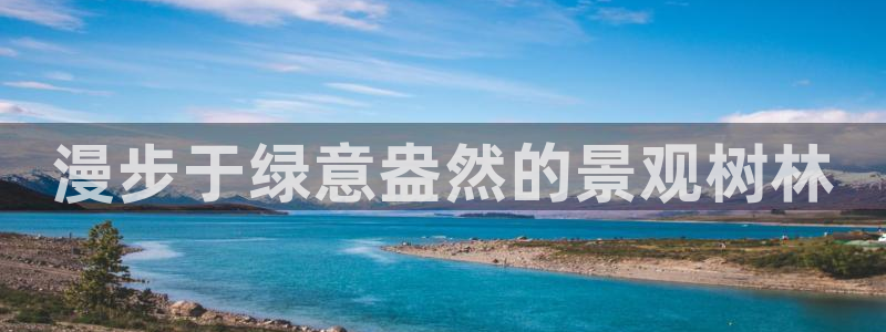 新宝GG厮78778：漫步于绿意盎然的景观树林