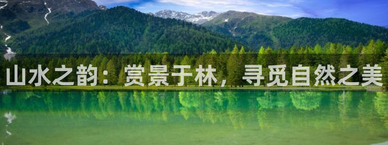 新宝gg注册登录网址：山水之韵：赏景于林，寻觅自然之美