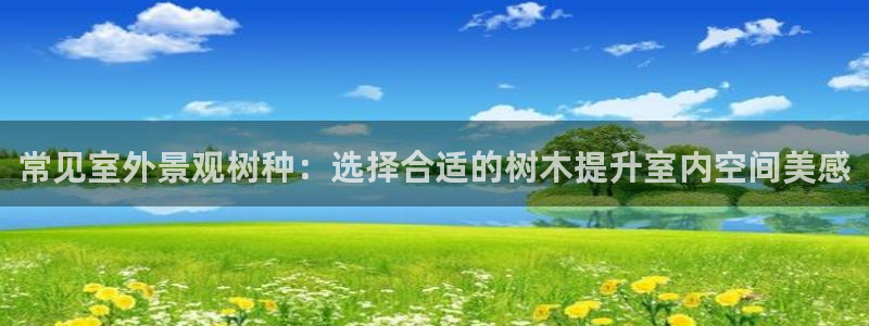 新宝GG 扣.772332：常见室外景观树种：选择合适的树木提升室内空间美感