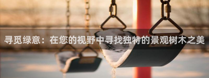 新宝gg群：寻觅绿意：在您的视野中寻找独特的景观树木之美
