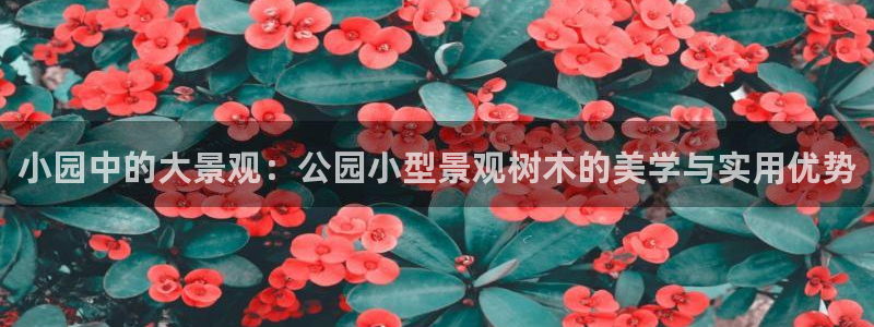 新宝gg 首页：小园中的大景观：公园小型景观树木的美学与实用优势